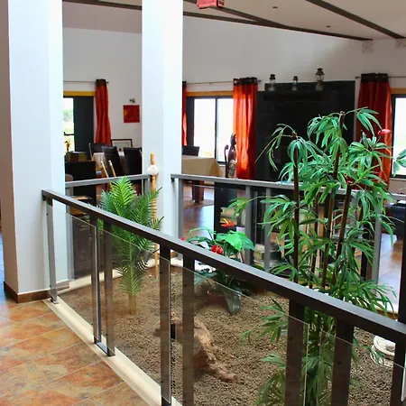 Hébergement de vacances Penim - Countryside With Jacuzzi, Garden With Bbq & Stunning Views